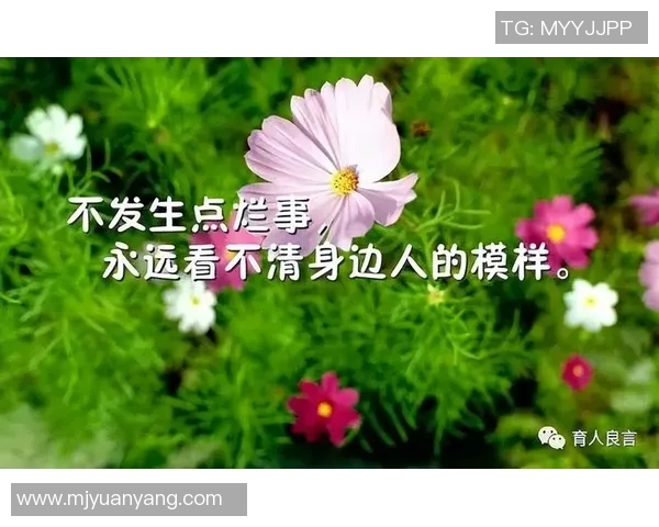 张秀英的排球旅程：从赛场辉煌到人生感悟的深度对话