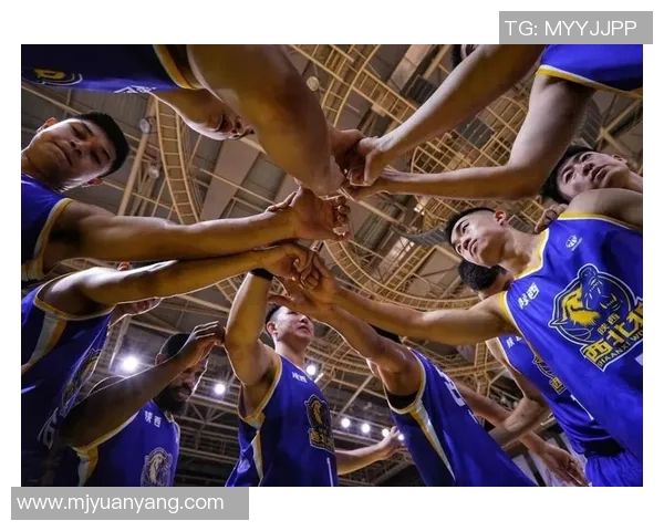 深度剖析上海篮球队比赛经验的异同与影响因素分析