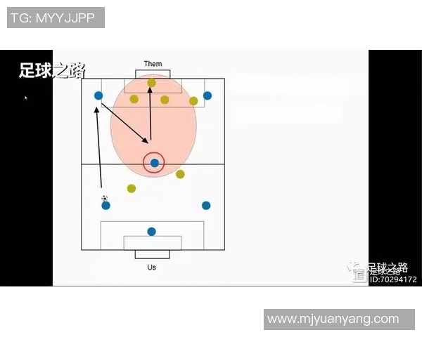 西安排球队的配合策略与战术分析探讨